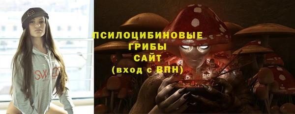 бошки Арсеньев