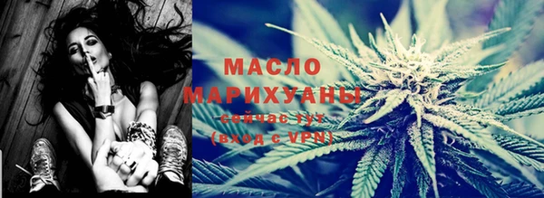 дмт Пересвет