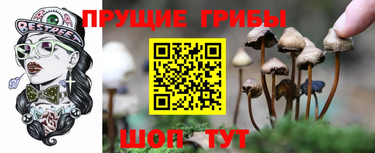 где купить   Вход с VPN  Галлюциногенные грибы Magic Shrooms  Полысаево  Галлюциногенные грибы мицелий 